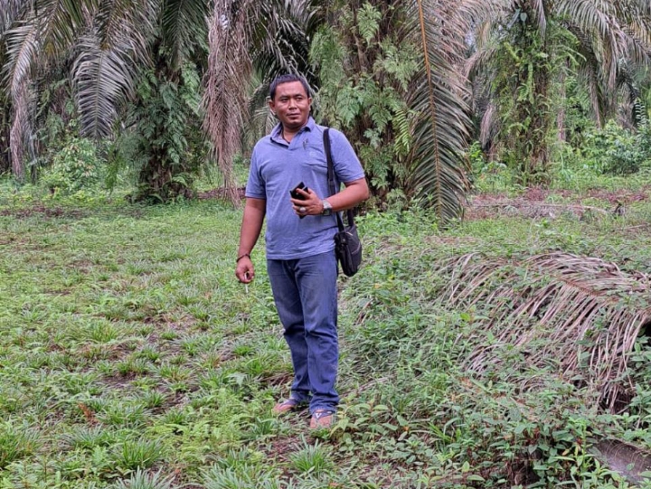 Dugaan Tukar Guling Lahan 91 Ha, antara PT Tasmapuja dan Kebun Plasma Masyarakat.