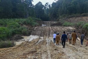 PEMBANGUNAN JALAN AKSES FOOD ESTATE DAN TSTH DITINJAU OLEH BUPATI HUMBAHAS