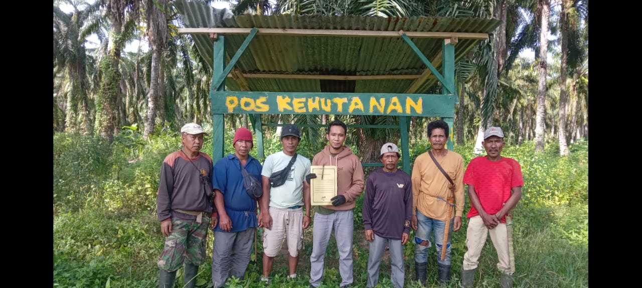 PERUSDA PT PASANG KAYU Dinilai Menghilangkan Hak Masyarakat Kelompok Dan Kangkangi Undang Undang Kehutanan juga Akan Pengelolanya Hutan Negara.