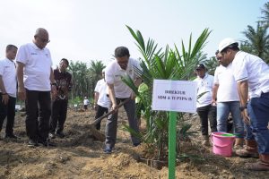 PTPN IV Regional I Realisasikan 744,93 Ha Lahan Peremajaan Sawit Rakyat hingga Juli 2024